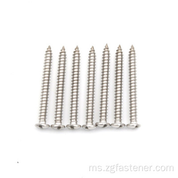 DIN7971 Stainless Steel 304 Slotted Pan Head Tapping Screws